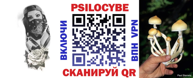 Купить закладки  Истра  Псилоцибиновые грибы Psilocybe 